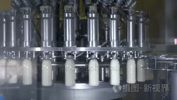塑料瓶灌奶。牛奶和牛奶制品生產(chǎn)線