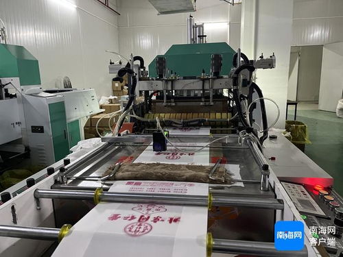 南國智庫 觀察 海南 禁塑 如何實現塑料源頭減量和替代