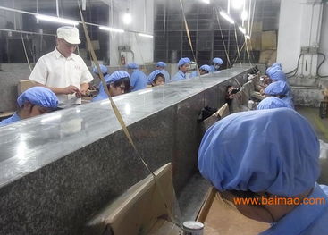 玩具加工 玩具配件 塑膠配件 塑膠產品加工,玩具加工 玩具配件 塑膠配件 塑膠產品加工生產廠家,玩具加工 玩具配件 塑膠配件 塑膠產品加工價格